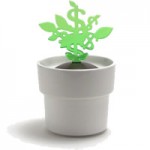 money　tree
